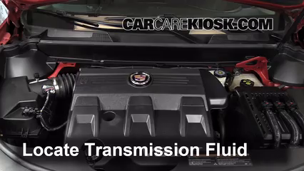 2011 Cadillac SRX 3.0L V6 Transmission Fluid Check Fluid Level